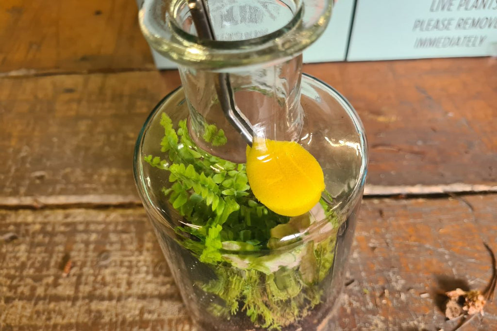 Rainforest Bottle Gift Set - Flower and Twig Nursery