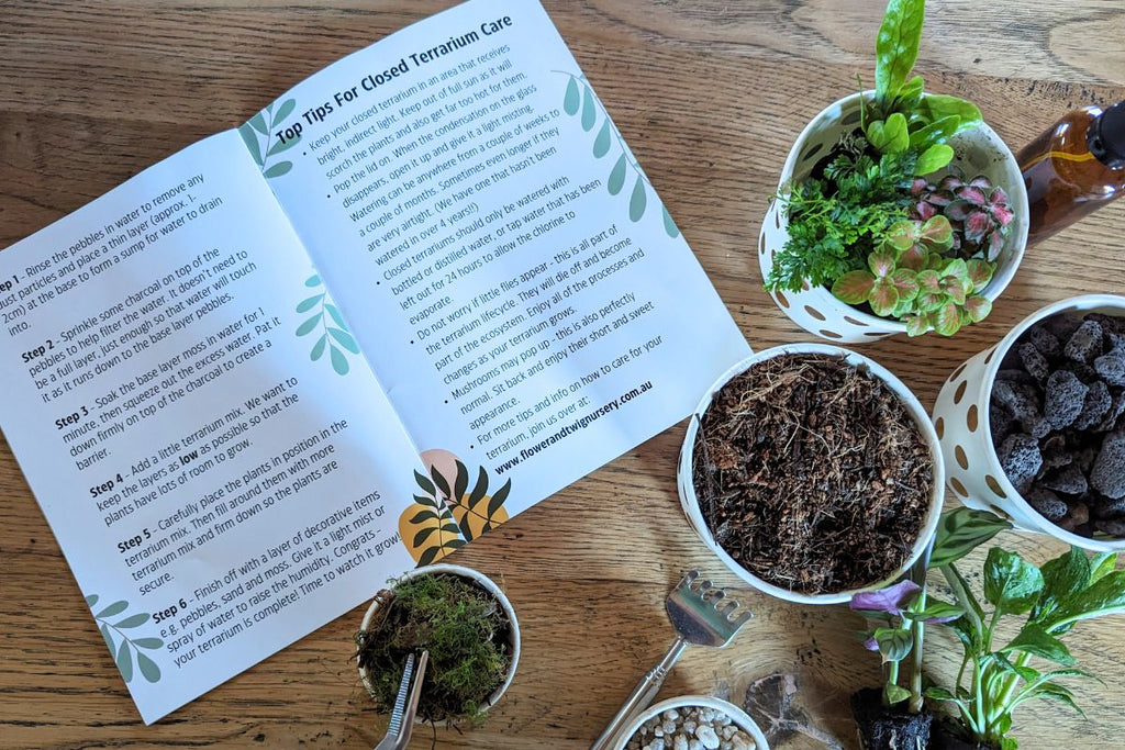 Rainforest Eden DIY Terrarium Kit - Flower and Twig Nursery