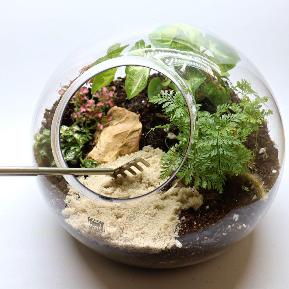 Rainforest Orb DIY Terrarium Kit - 2 Sizes Available - Flower and Twig Nursery