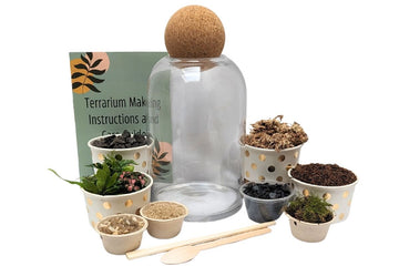 Rainforest View DIY Terrarium Kit - Flower and Twig Nursery