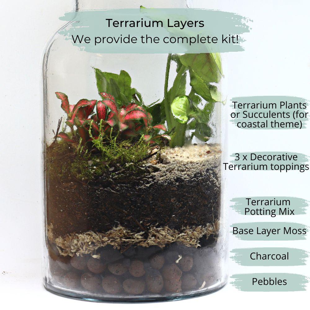 Rainforest View DIY Terrarium Kit - Flower and Twig Nursery