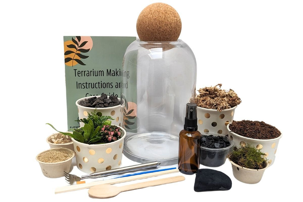 Rainforest View Gift Set - Flower and Twig Nursery