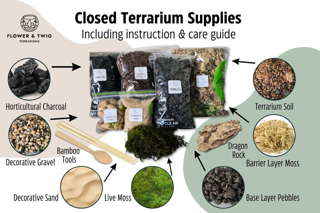 Rainforest Walk DIY Terrarium Kit - Flower and Twig Nursery