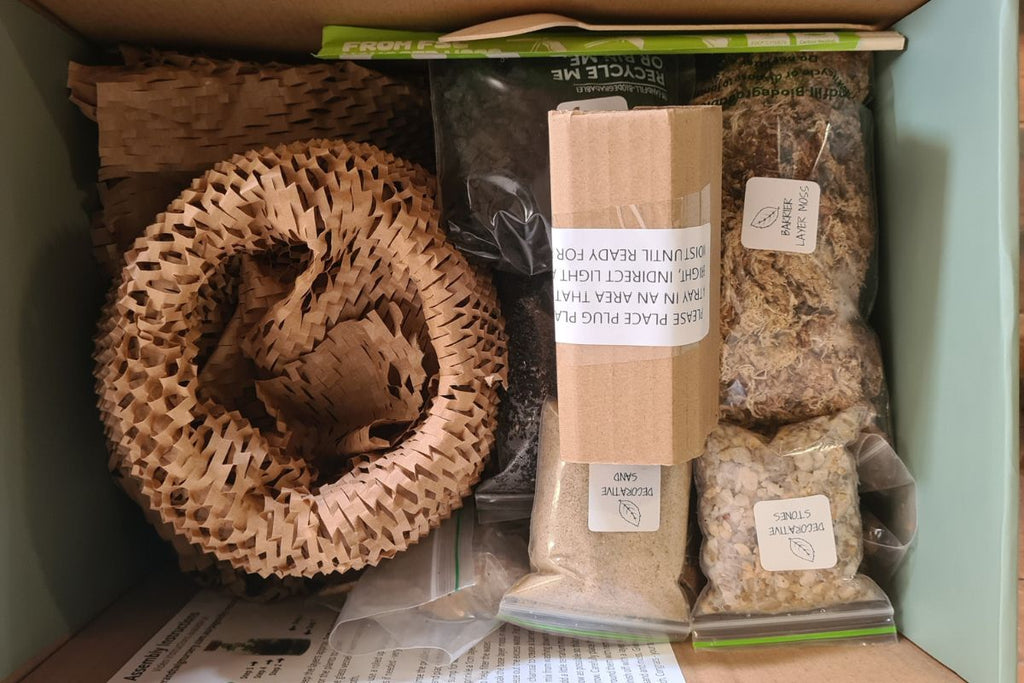 Rainforest Walk Gift Set - Flower and Twig Nursery