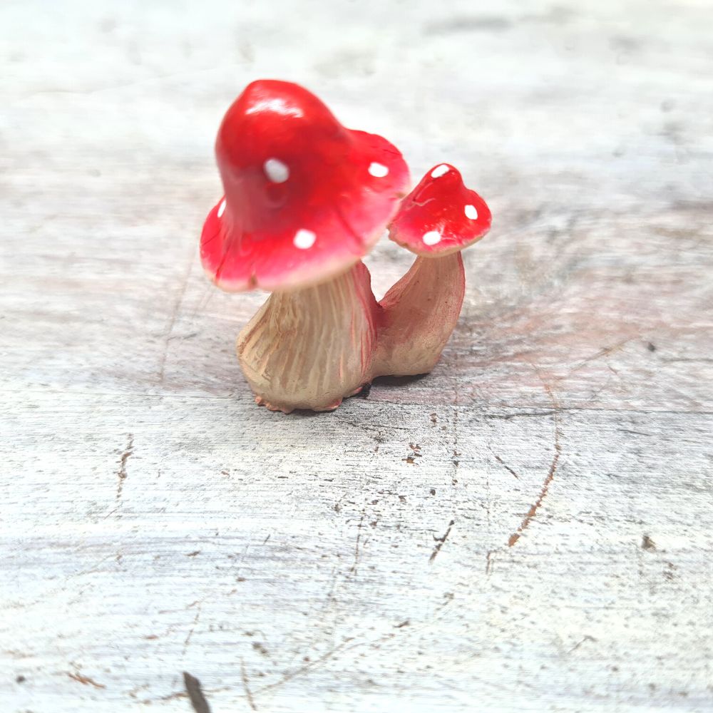 Red Mushroom Pair - Flower and Twig Nursery