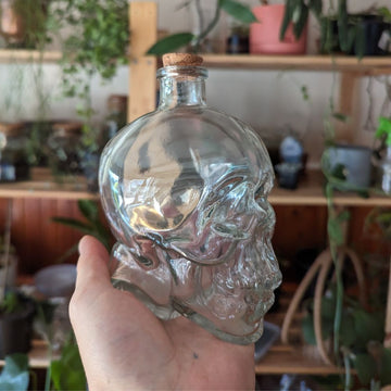 Skull Terrarium - Flower and Twig Nursery