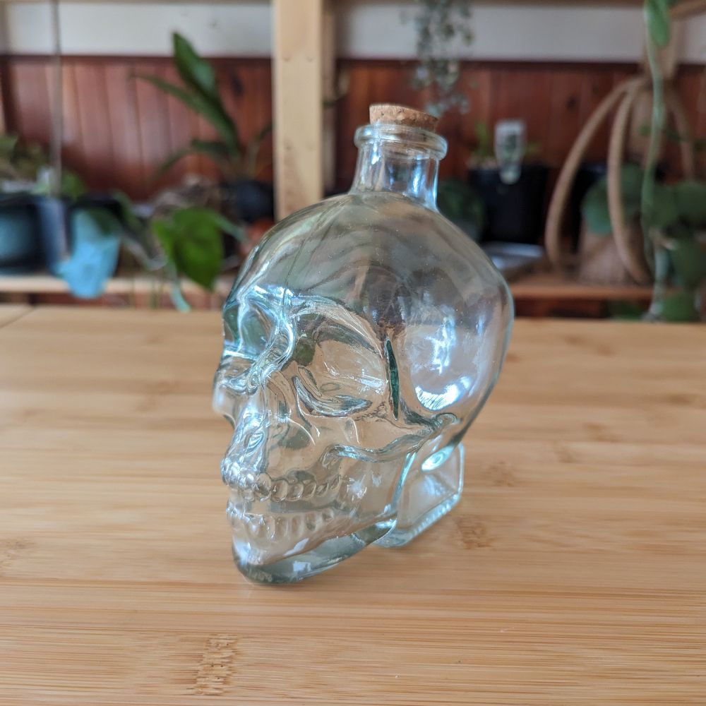 Skull Terrarium - Flower and Twig Nursery
