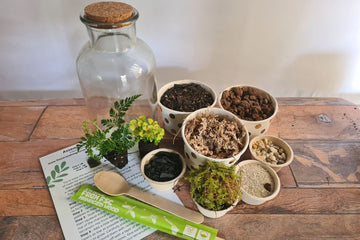 Small Woodland Cork DIY Terrarium Kit - Flower and Twig Nursery