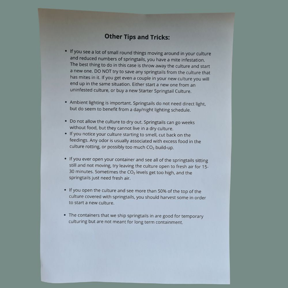 Springtails - Flower and Twig Nursery