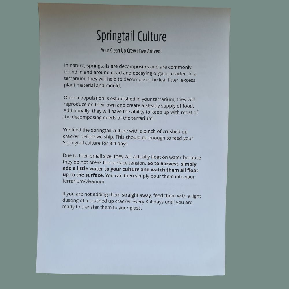 Springtails – Flower and Twig Nursery