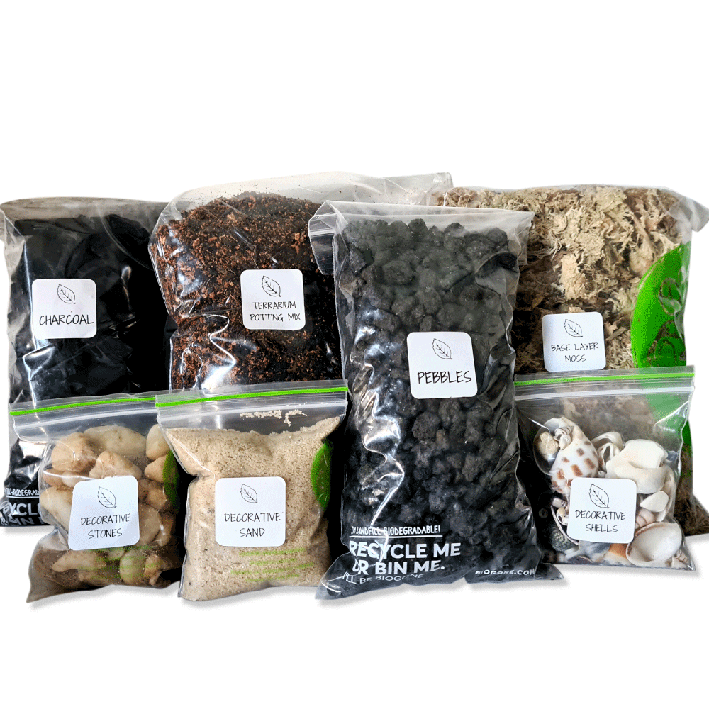 Succulent Terrarium Supplies - Substrates and Tools - Flower and Twig Nursery