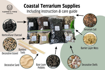 Succulent Terrarium Supplies - Substrates and Tools - Flower and Twig Nursery