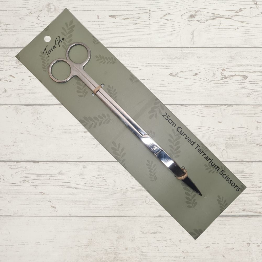 Terrapro 25cm Stainless Steel Curved Terrarium Scissors - Flower and Twig Nursery