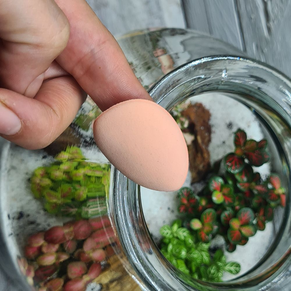 Terrarium Cleaning Kit - Flower and Twig Nursery