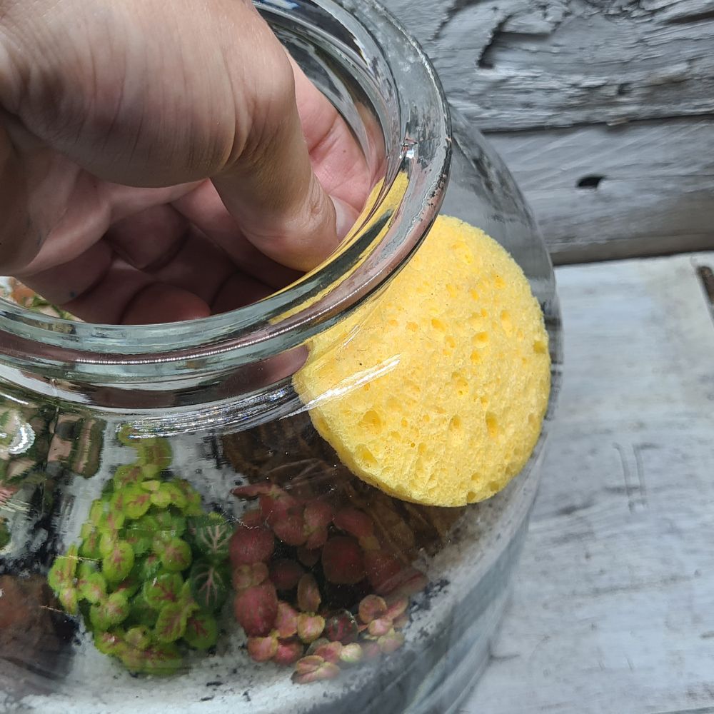 Terrarium Cleaning Kit - Flower and Twig Nursery