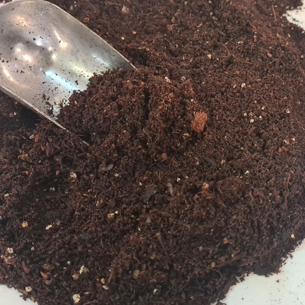 Terrarium Soil - Flower and Twig Nursery