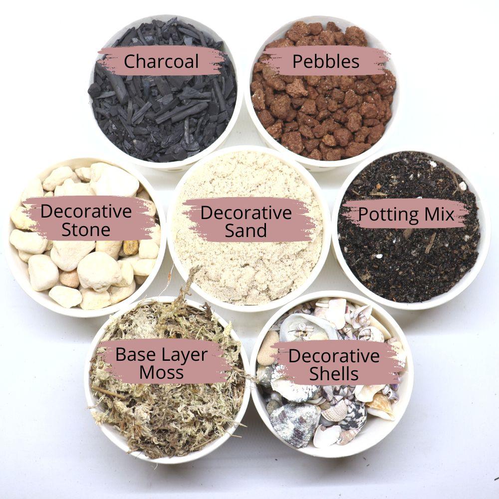 Terrarium Supplies with 4 Succulents - Flower and Twig Nursery