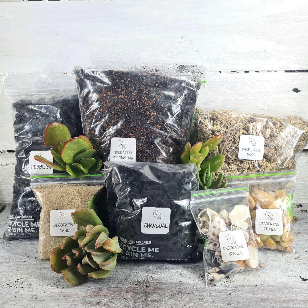 supplies for succulent terrarium Terrarium Supplies with 4 Succulents – Flower and Twig Nursery