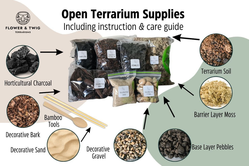 Terrarium Supplies with 4 Terrarium Plug Plants - Flower and Twig Nursery