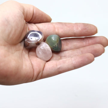 Trio of Gemstones - Flower and Twig Nursery