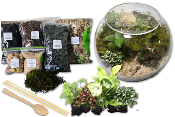 Tropical Closed Orb DIY Terrarium Kit - 2 Sizes Available - Flower and Twig Nursery