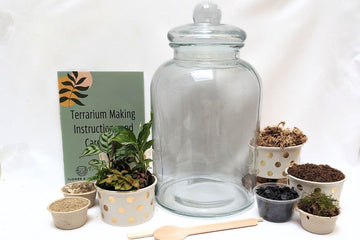 Tropical Jar - XL - Flower and Twig Nursery