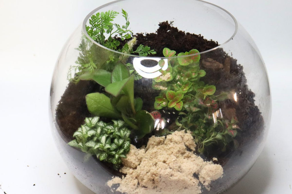 Tropical Orb Closed Large Gift Set - Flower and Twig Nursery