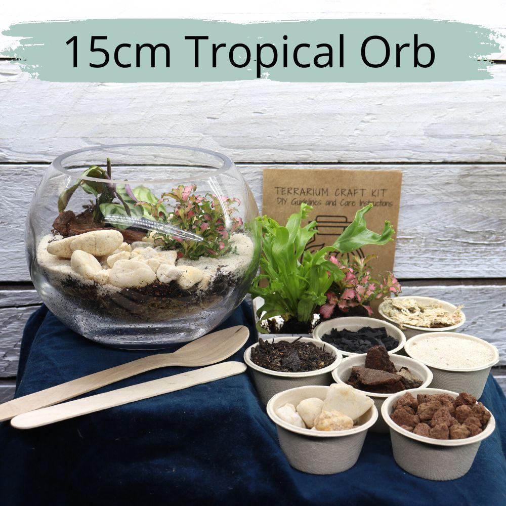 Tropical Orb DIY Terrarium Kit - 3 Sizes Available - Flower and Twig Nursery