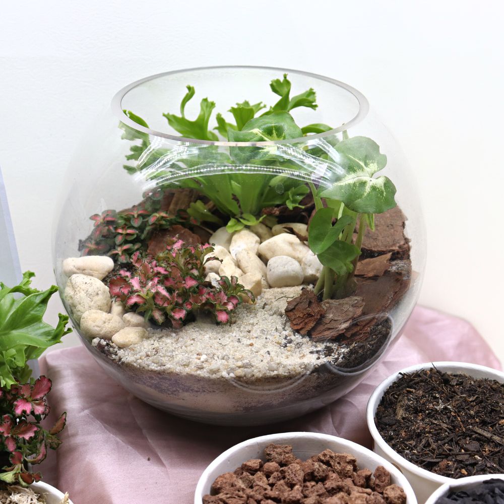 Tropical Orb DIY Terrarium Kit - 3 Sizes Available - Flower and Twig Nursery