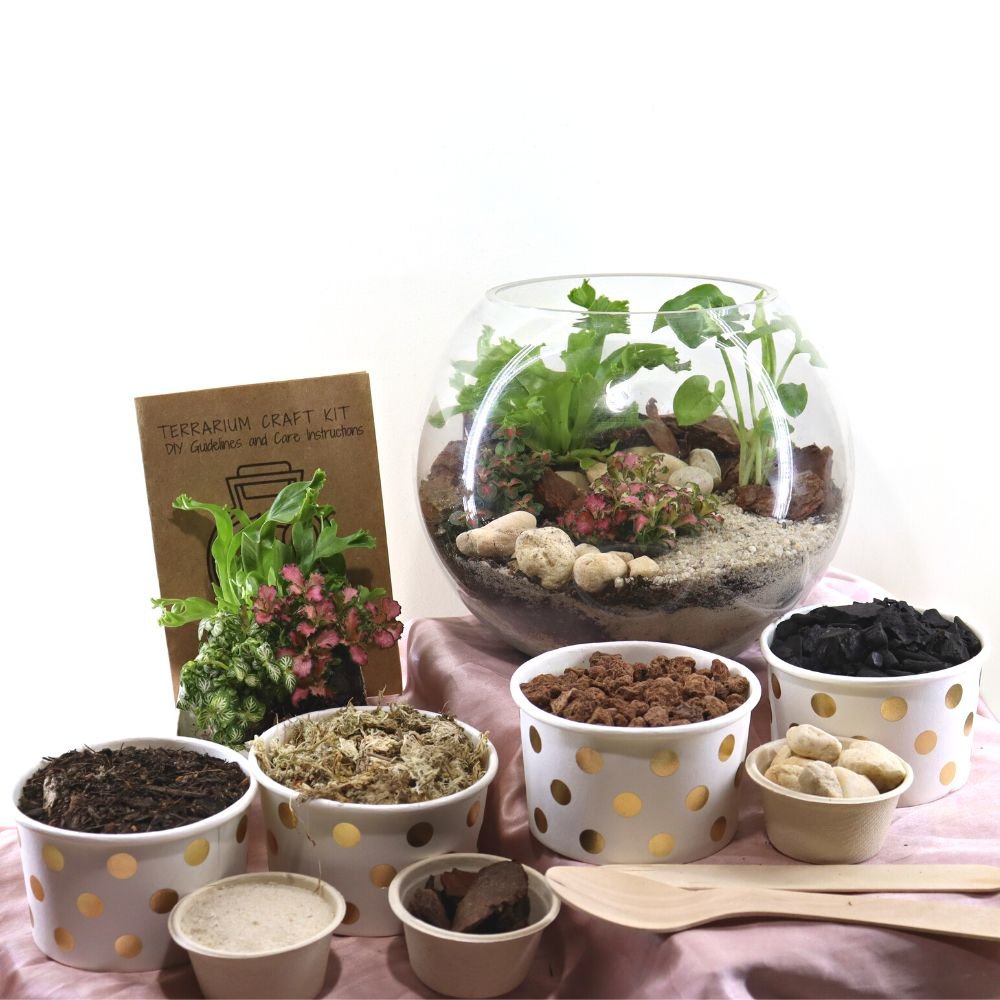 Tropical Orb DIY Terrarium Kit - 3 Sizes Available - Flower and Twig Nursery