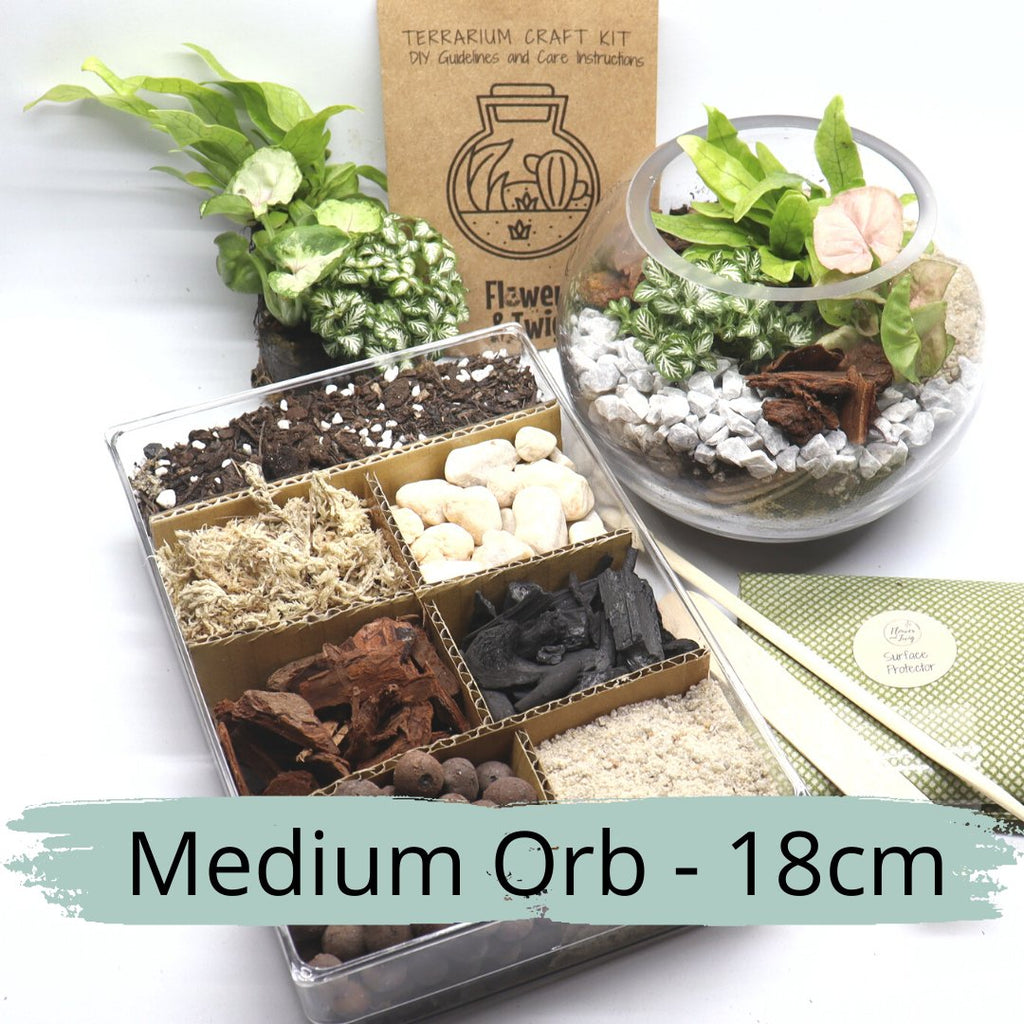 Tropical Orb DIY Terrarium Kit - 3 Sizes Available - Flower and Twig Nursery