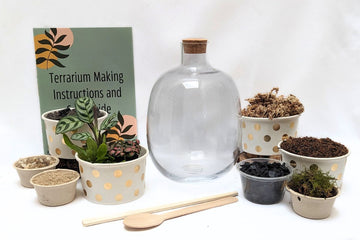 Woodland Capsule DIY Terrarium Kit - Flower and Twig Nursery