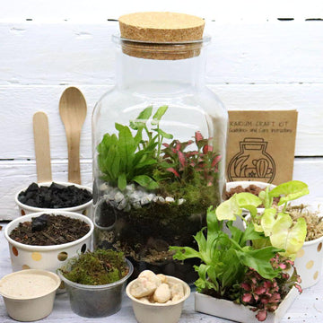 Woodland Cork DIY Terrarium Kit - Flower and Twig Nursery