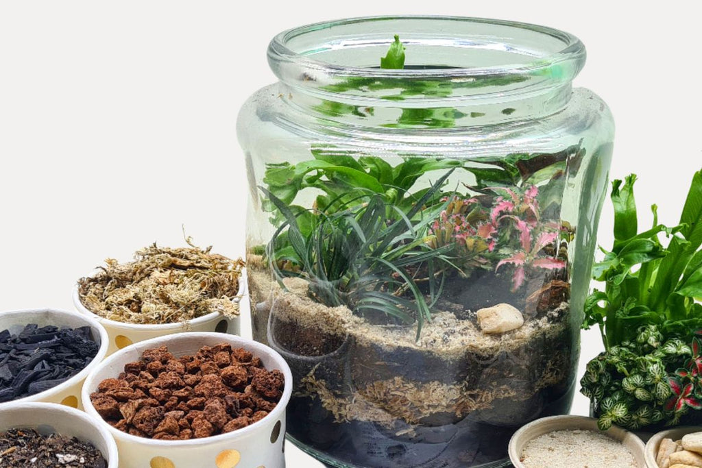 Woodland Oasis DIY Terrarium Kit - Flower and Twig Nursery