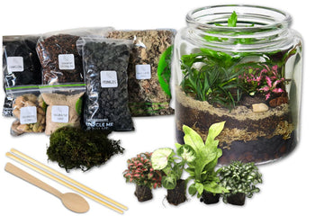 Woodland Oasis DIY Terrarium Kit - Flower and Twig Nursery