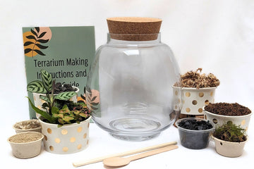 Woodland Walk DIY Terrarium Kit - Flower and Twig Nursery